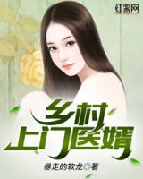 乡村上门医婿