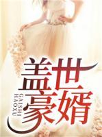 盖世豪婿