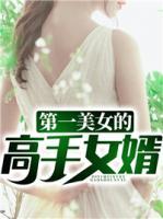 第一美女的高手女婿