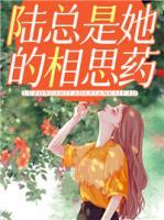 陆总是她的相思药