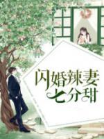 闪婚宠妻七分甜