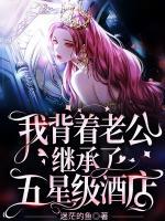 我背着老公，继承了五星级酒店