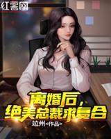 离婚后，绝美总裁求复合