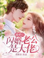 逃婚后，闪婚老公是大佬
