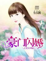 豪门闪婚之老公凶猛