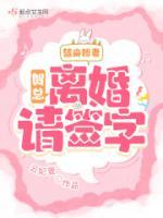 替身娇妻：贺总，离婚请签字