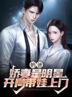 奶爸：娇妻是明星，开局带娃上门