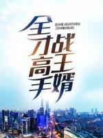 全才高手战王婿