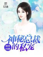 蚀骨闪婚：神秘总裁的私宠