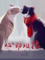 心动难挡