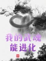 我的武魂能进化