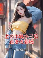 老公出轨小三后追妻火葬场