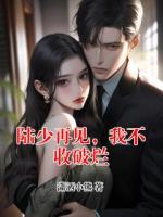 陆少再见，我不收破烂