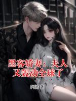黑客娇妻：夫人又轰动全球了