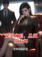 宠妻成瘾，总裁别太坏
