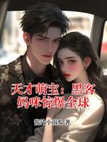 天才萌宝：黑客妈咪惊爆全球