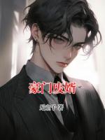 豪门废婿