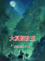 大夏摄政王