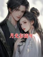 月光存流年