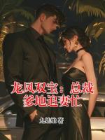 龙凤双宝：总裁爹地追妻忙