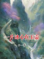 一片冰心在玉壶