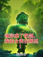 魂穿成了把剑，我的女侠在哪里！