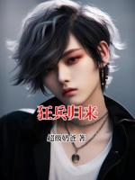 狂兵归来