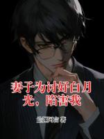 妻子为讨好白月光，陷害我