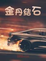 金丹结石