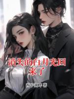 消失的白月光回来了