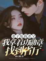 妻子冤我杀父，我拿着功勋章找到省厅