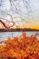 分手后，大佬他怎么又来刷存在感