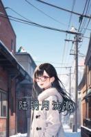 陆明月沈澈