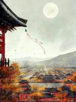 半生思念碎如风
