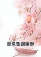 沈盈珠顾砚辞
