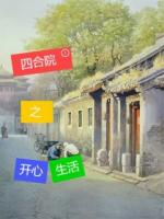 四合院之开心生活
