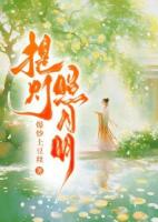 提灯照月明