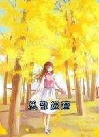 总部巡查