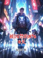被囚禁的8760天