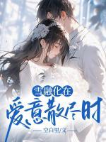 雪融化在爱意散尽时