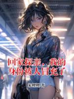 回家探亲，我的身份被人冒充了