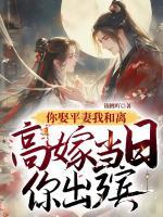 你娶平妻我和离，高嫁当日你出殡