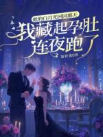 他的白月光回国那天，我藏起孕肚连夜跑了