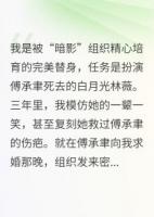 替身逆袭：霸总他宠我上瘾