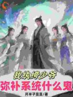 我纨绔少爷，弥补系统什么鬼