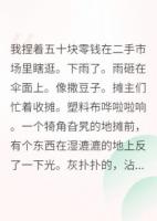 在二手市场淘到了一个神奇的宝贝