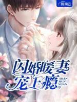 闪婚暖妻宠上瘾