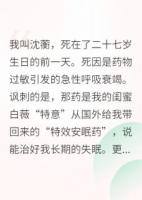 重生后，我嫁给了前夫的死敌