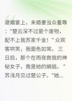 退婚当日我假死三天