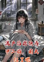 流产后我换马甲二婚，前夫红了眼